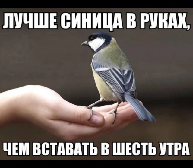 Пришло время!