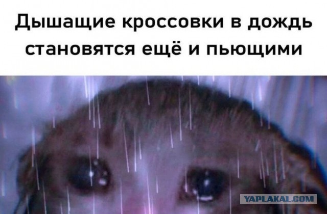 Быстрая деградация