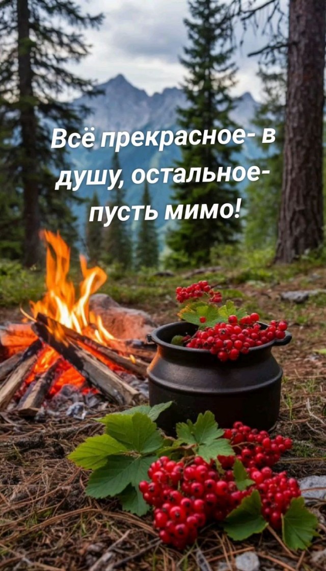 Прикольные и просто красивые картинки 12.08.2025