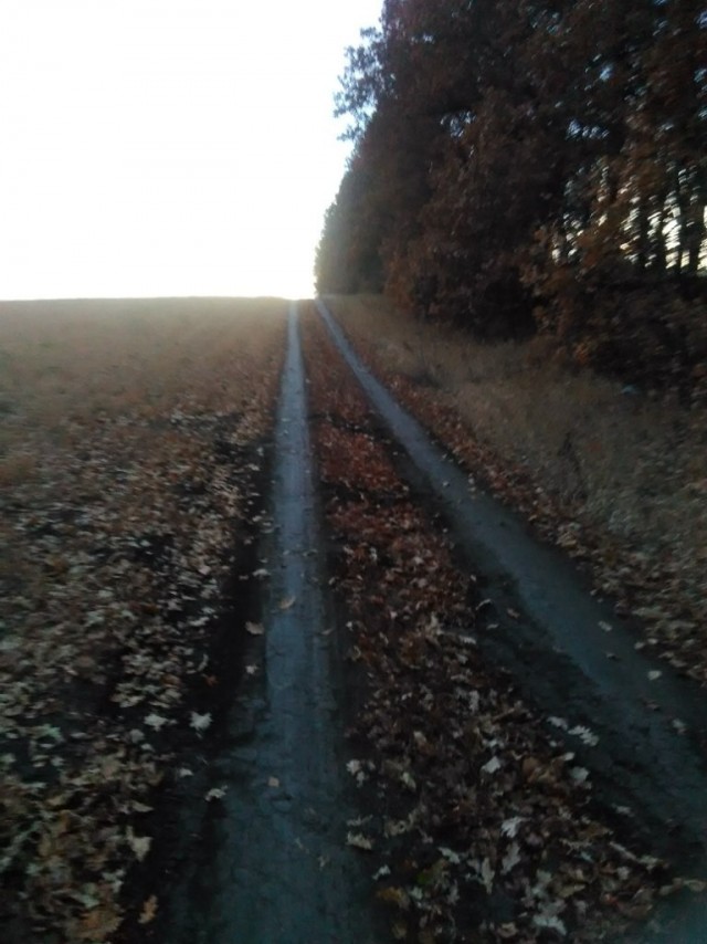 Шишкин..