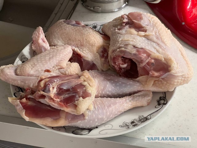 Куриная лапша