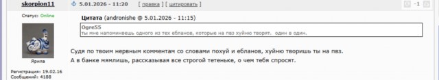 Здравствуй, жопа, Новый год!?
