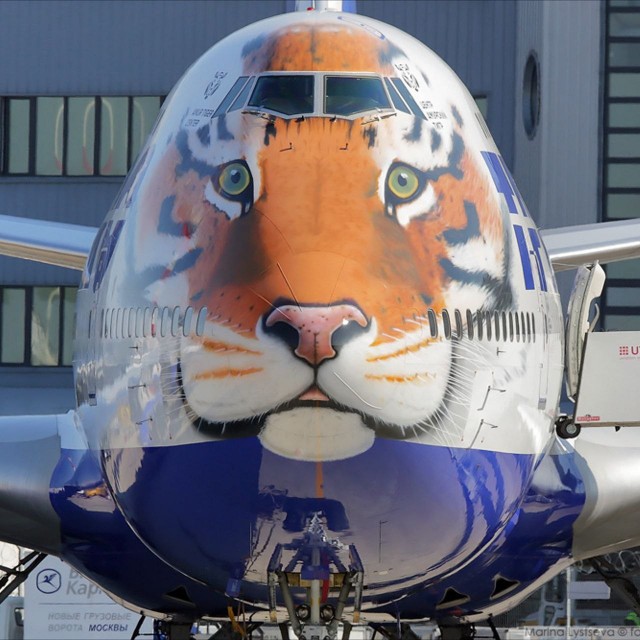 Хищный красавец из Брянска