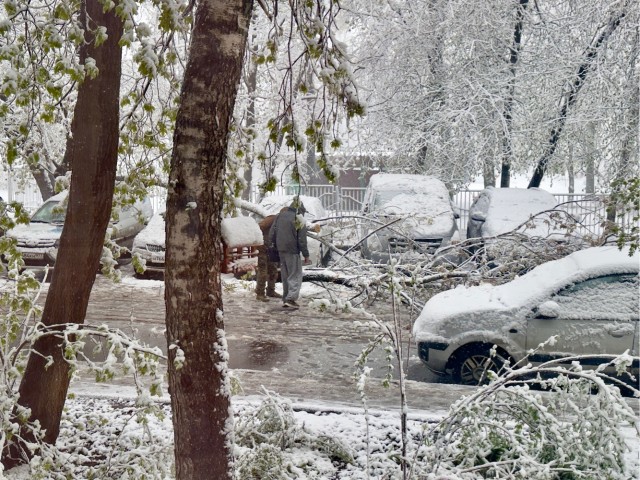 Утро в Москве