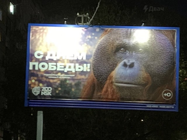 Жителей Новосибирска бомбануло из-за плаката местного зоопарка ко Дню Победы