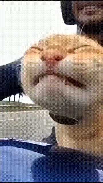 Выкручивай газ братан