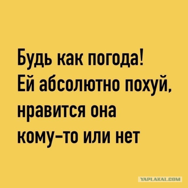 Картинки для деградации 222 (разной степени свежести)