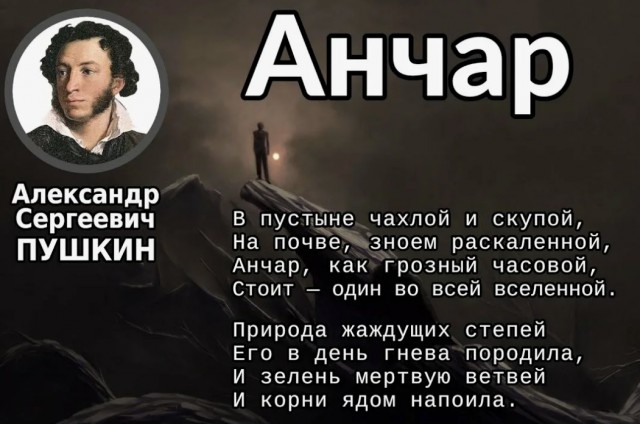 Динамитное дерево