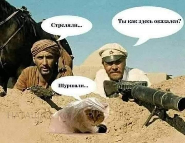 Веселое настроение в картинках 31.07.26
