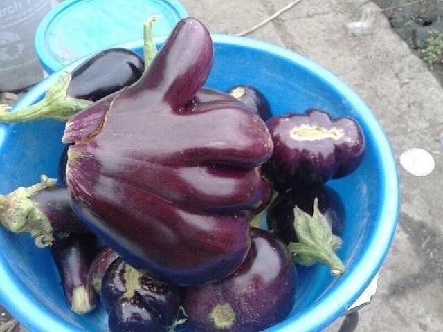 Пятничные жопки