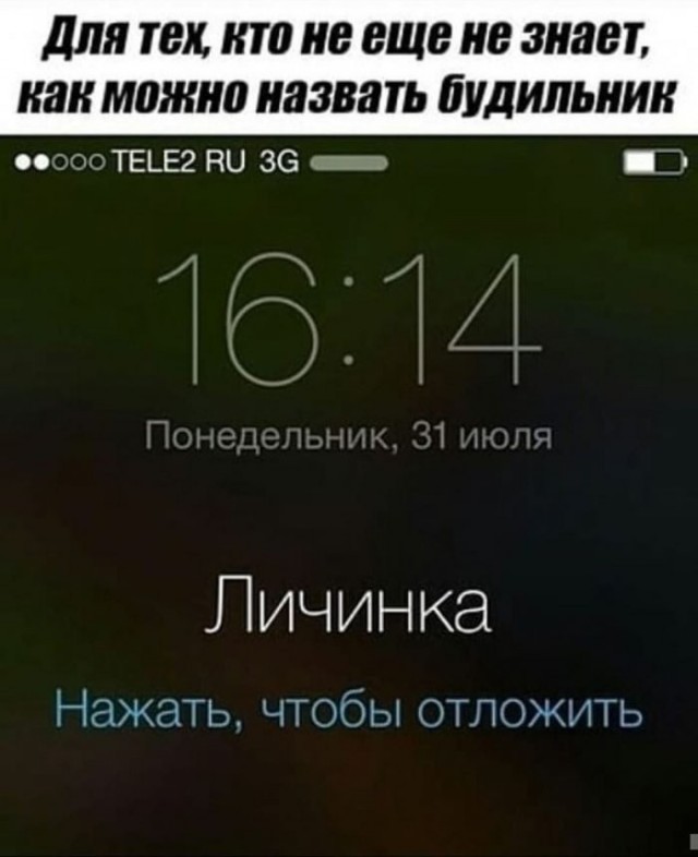 Веселые картинки в пятницу (25.09)