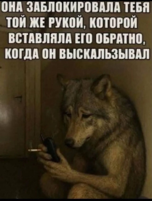 Долой осеннюю хандру