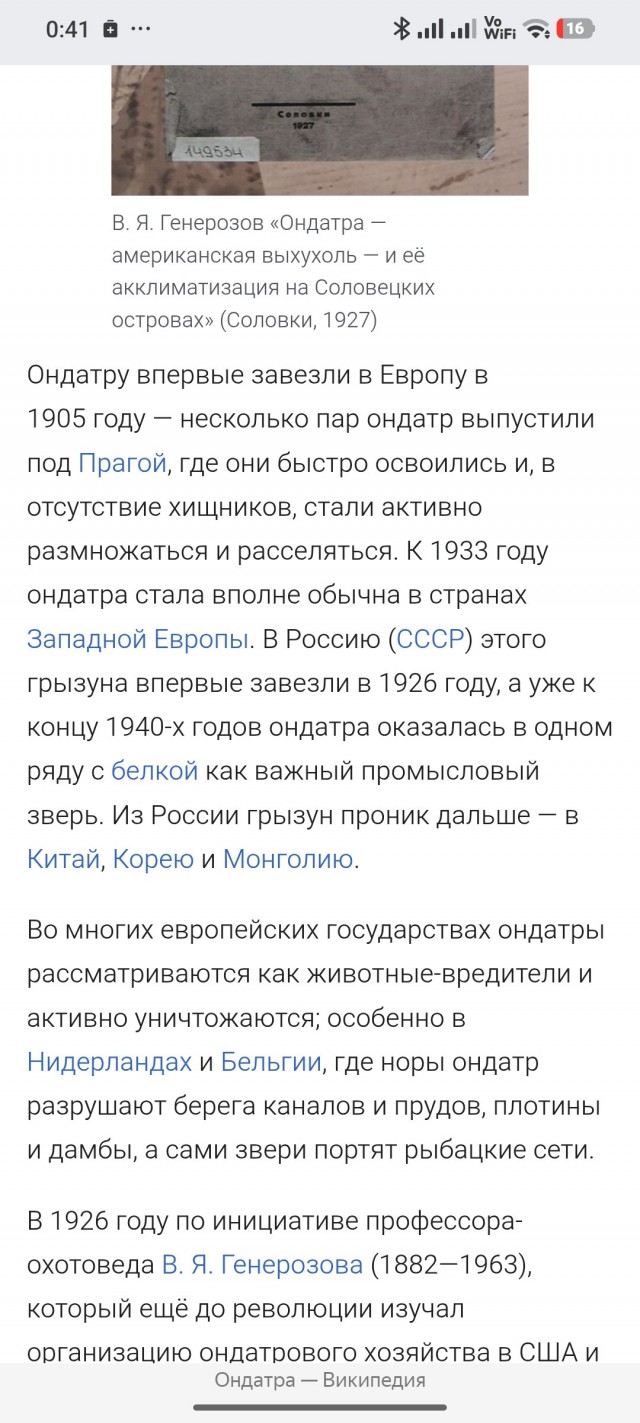 Восхитительная Антарктида