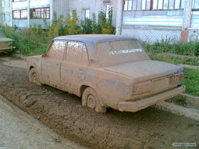 Что мы видим вокруг себя