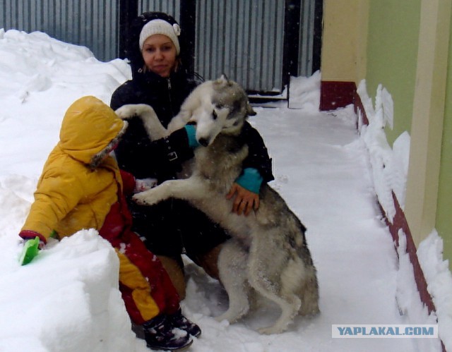 Не хочу домой