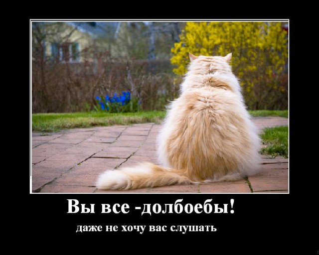 Картинки на выходные