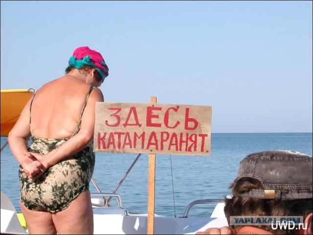 Картинки