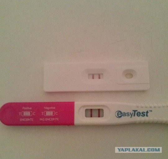 Привет с утра от жены..