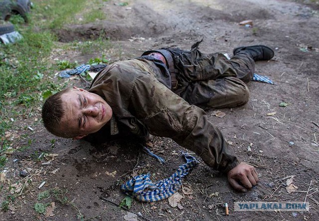 Полгода войны в Украине