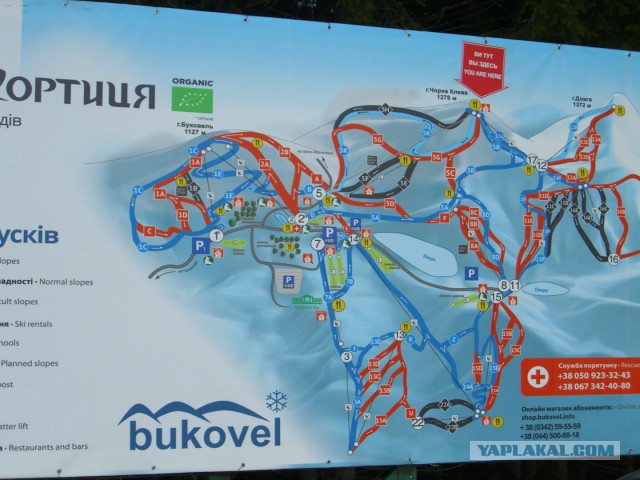 "Мои" Карпаты