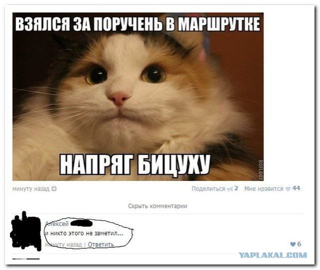 Смешные комментарии из социальных сетей
