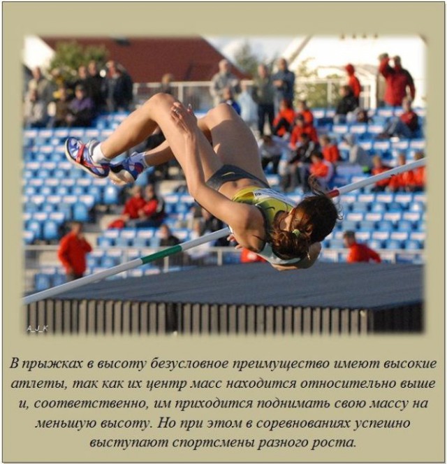 20 фактов обо всем