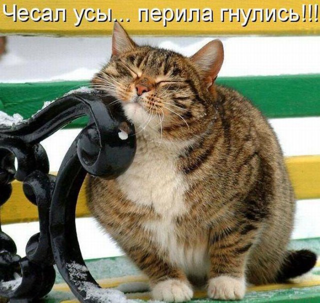 Картинки с буквами -11