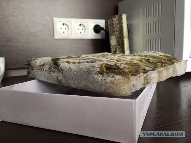 Креветки со льдом