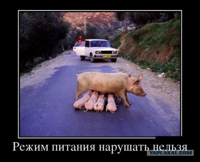 Неписаные правила дорожного движения