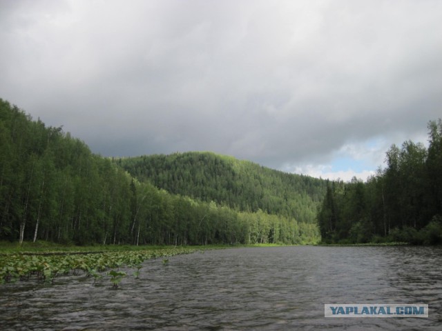 Сибирь 2015