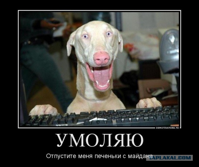 Украинцы фантазируют