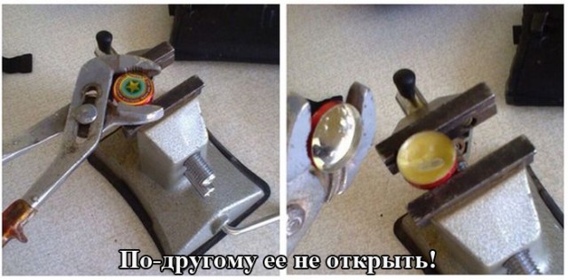 Подборка прикольных фото на среду