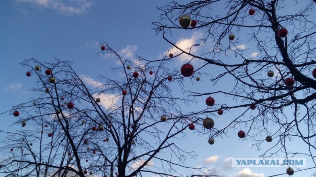 Вы такого еще не видели!
