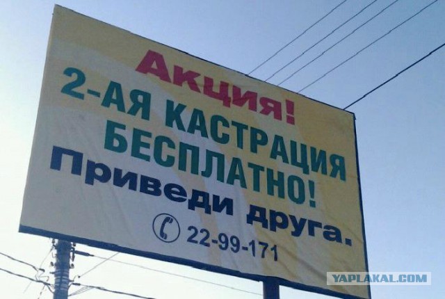 Весёлые картинки