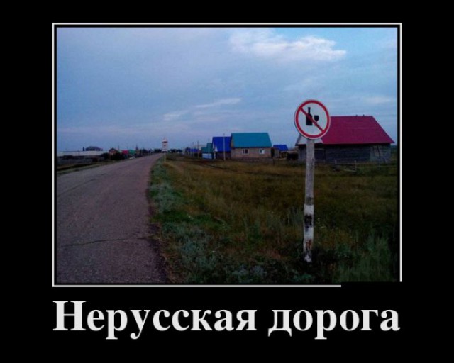 Картинки и приколы из сети