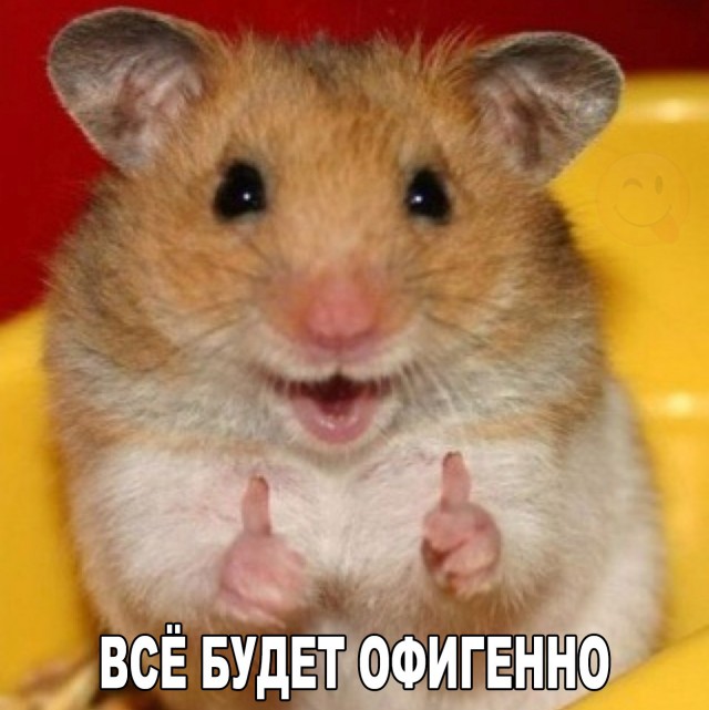 Прикольные животные