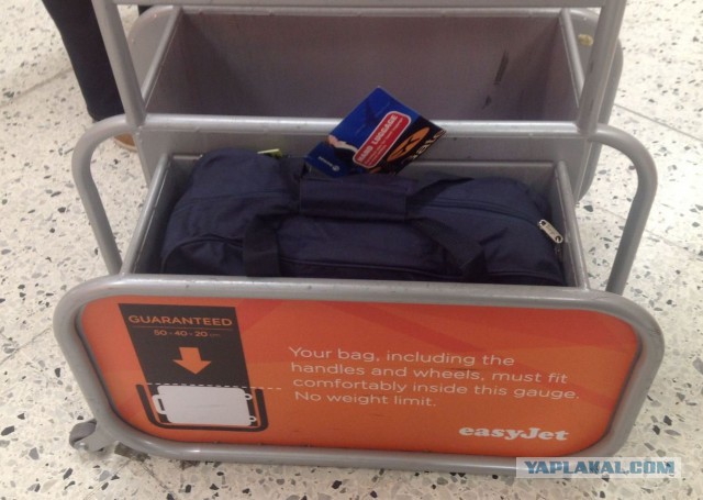 Неадекватная стюардесса Белавиа