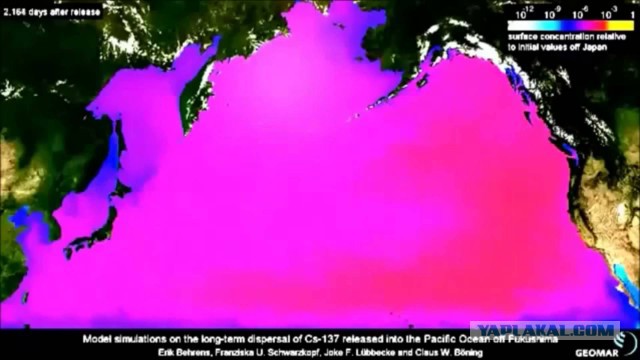 Фукусима: Смерть с косой на 530 Зв/час, или самая страшная ядерная катастрофа продолжается