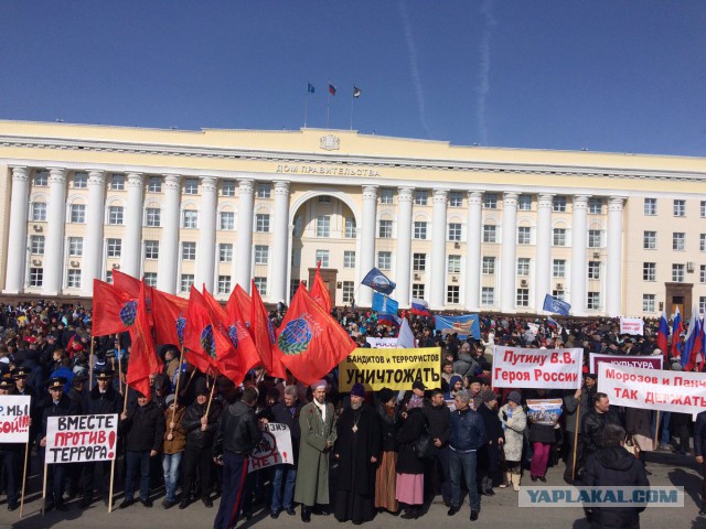 "Шакалы и гиены, нас не сломить". Фанаты "Зенита"  о теракте