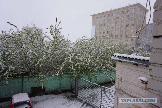 Погода Харьков сегодня!