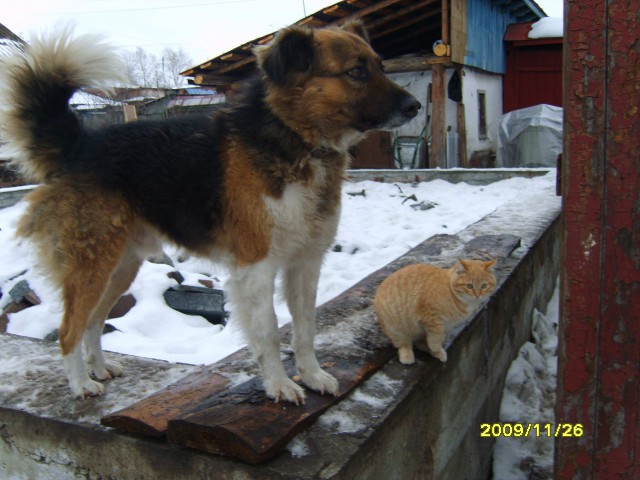 Моя стройка, как часть жизни. Часть первая. 2009-2012.