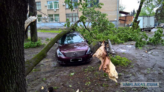 В Москве ураган!