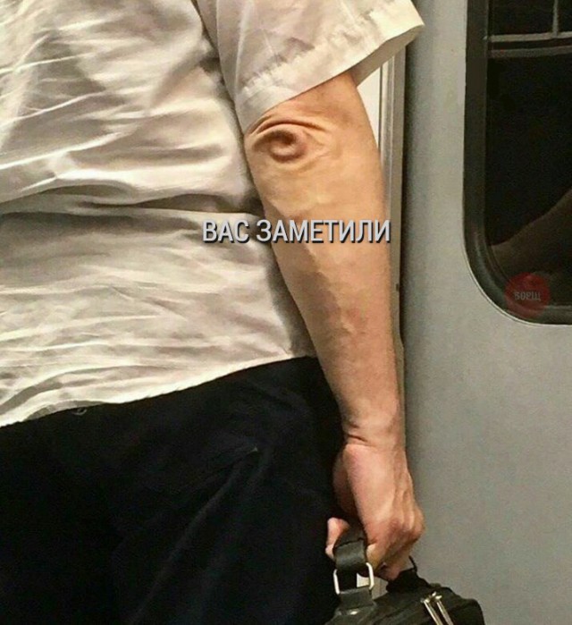 Порция картинок