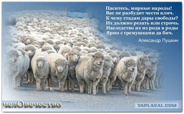 Обращение Поклонской к генпрокурору Чайке