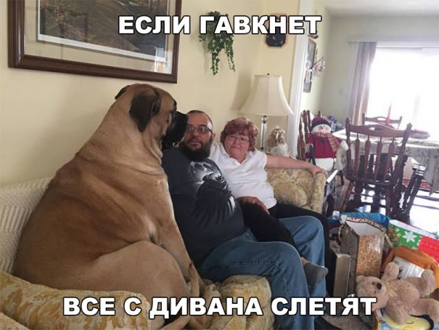 Нестандартный юмор