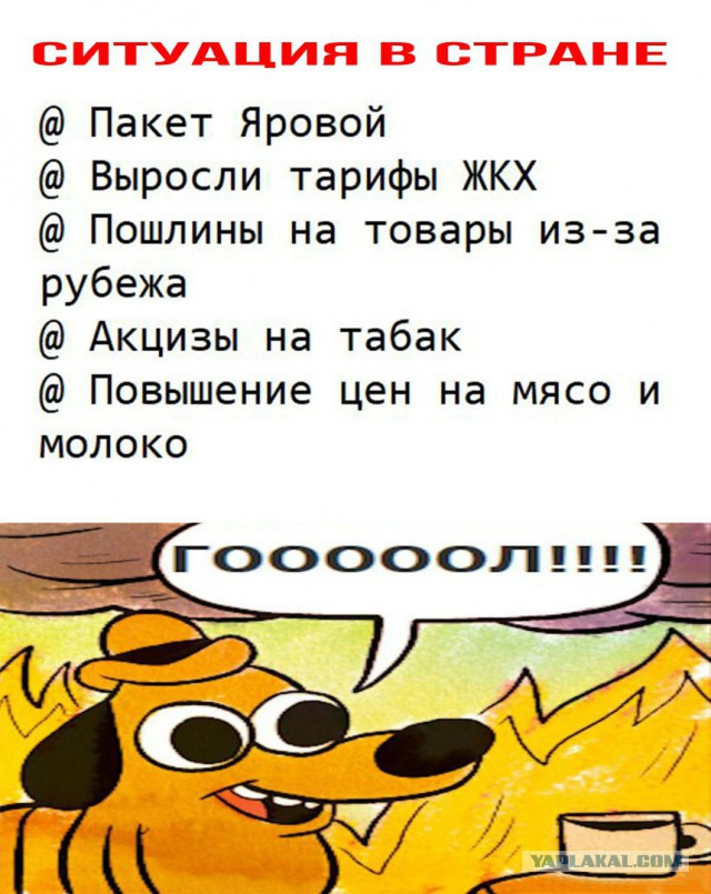 31% молодежи хочет эмигрировать из России
