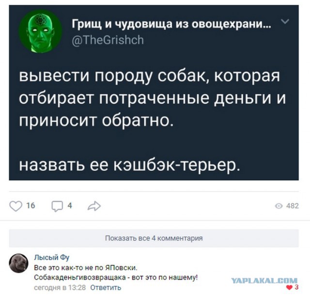 Смешные комментарии из социальных сетей 12.10.2018