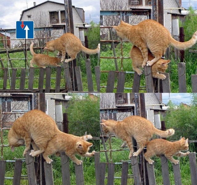 Проход только для своих!