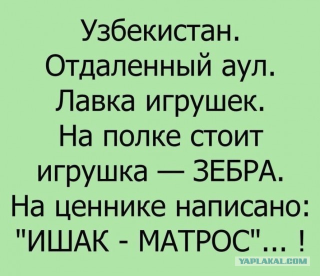 Нестандартный юмор