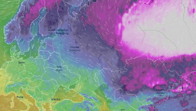 Последняя медицинская деградация...